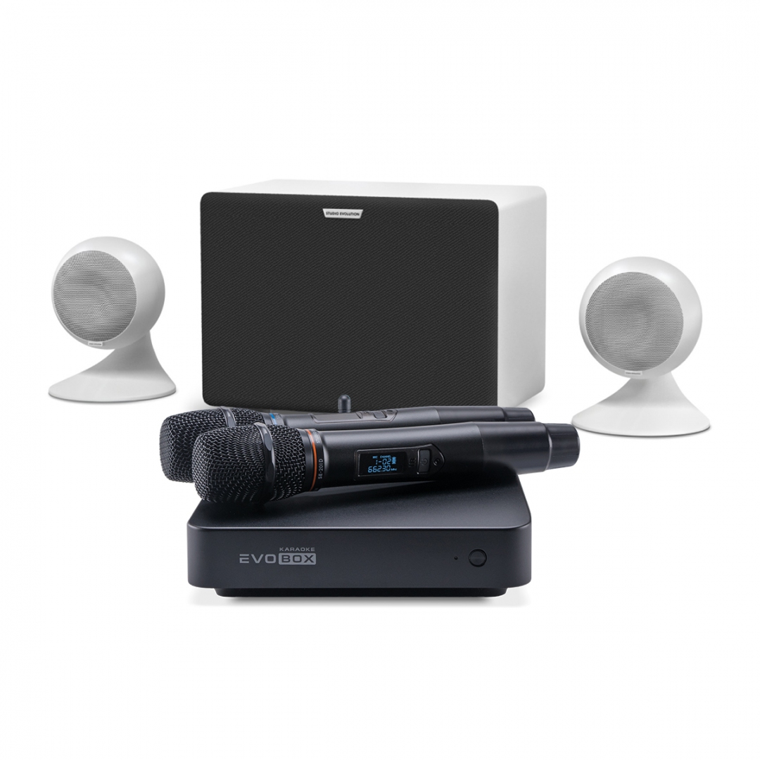 караоке-комплект EVOBOX Classic + EvoSound Sphere 2.1 в Армавире