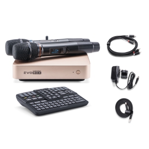 EVOBOX Classic караоке-система для дома в Армавире