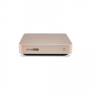 EVOBOX с микрофонами в Армавире